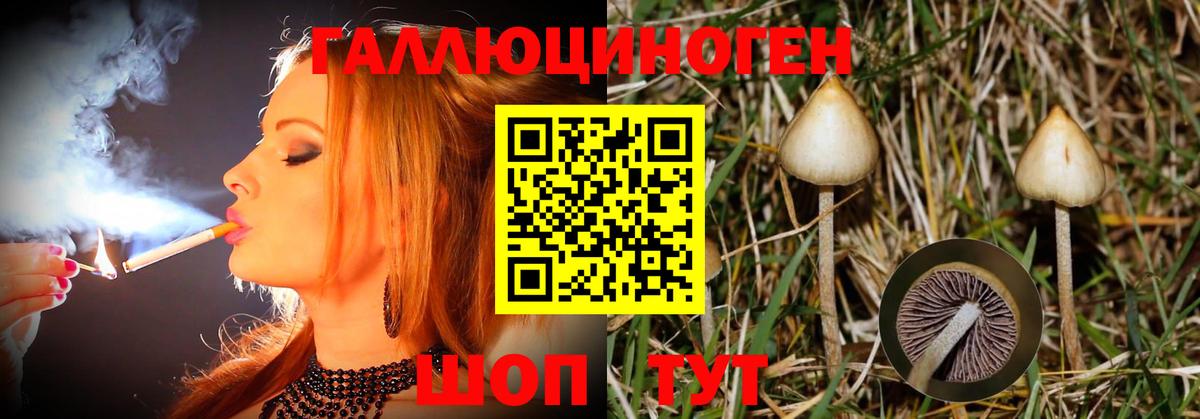 продажа наркотиков  Вход с VPN  Михайловка  Галлюциногенные грибы Cubensis 